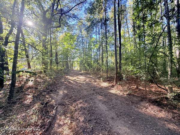 2.5 Acres of Residential Land for Sale in Bogue Chitto, Mississippi