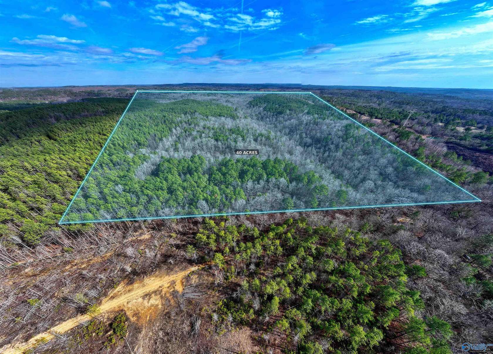40 Acres of Recreational & Residential Land for Sale in Oakman, Alabama