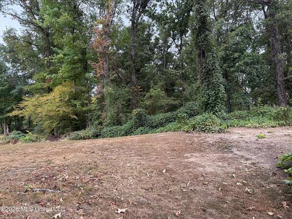 2.17 Acres of Land for Sale in Hernando, Mississippi
