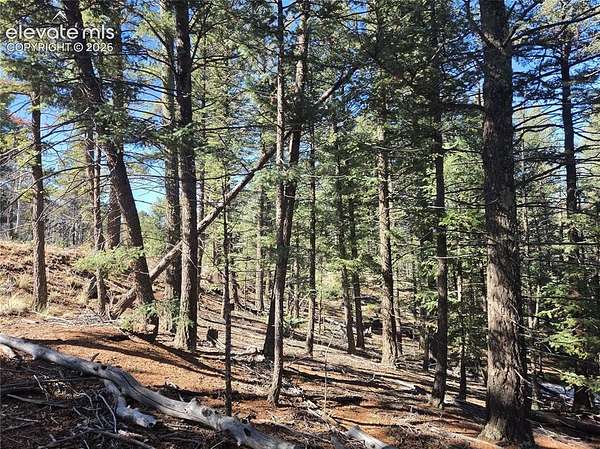 1.7 Acres of Land for Sale in Cripple Creek, Colorado