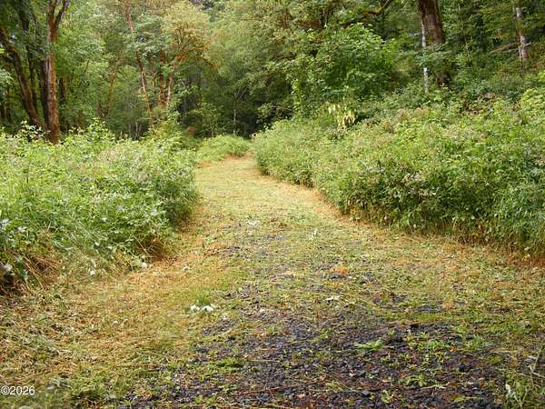 4 Acres of Land for Sale in Alsea, Oregon