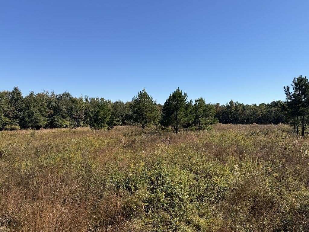 20.2 Acres of Recreational & Residential Land for Sale in Columbia, Alabama