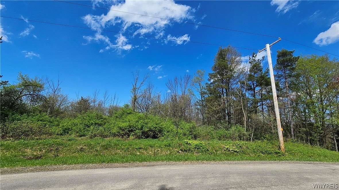 16.4 Acres of Land for Sale in Colden, New York