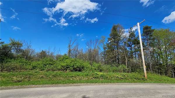 16.4 Acres of Land for Sale in Colden, New York