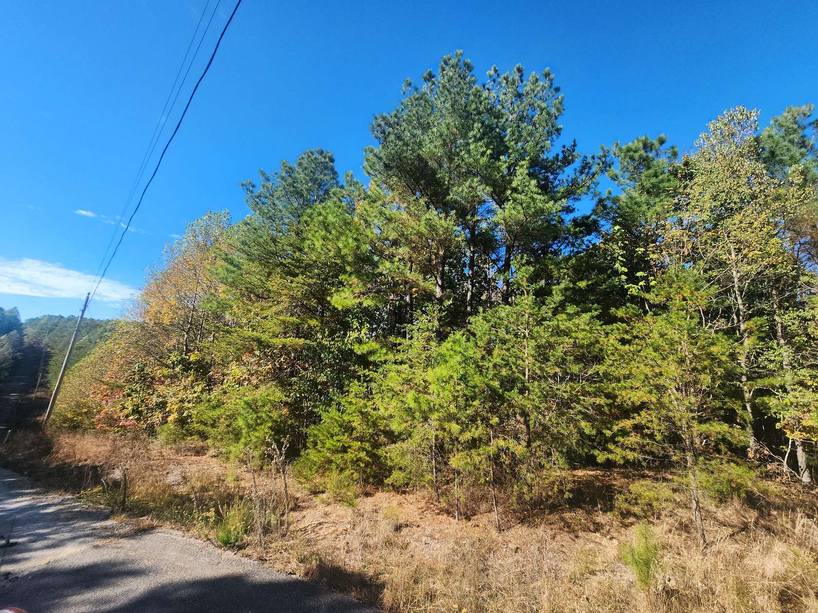 1.76 Acres of Residential Land for Sale in Spencer, Tennessee