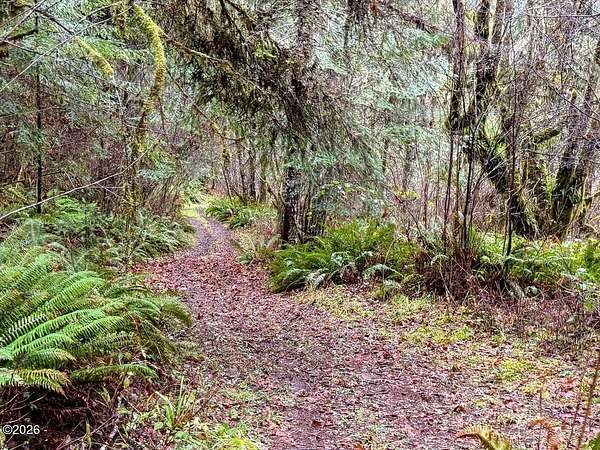 25 Acres of Land with Home for Sale in Alsea, Oregon