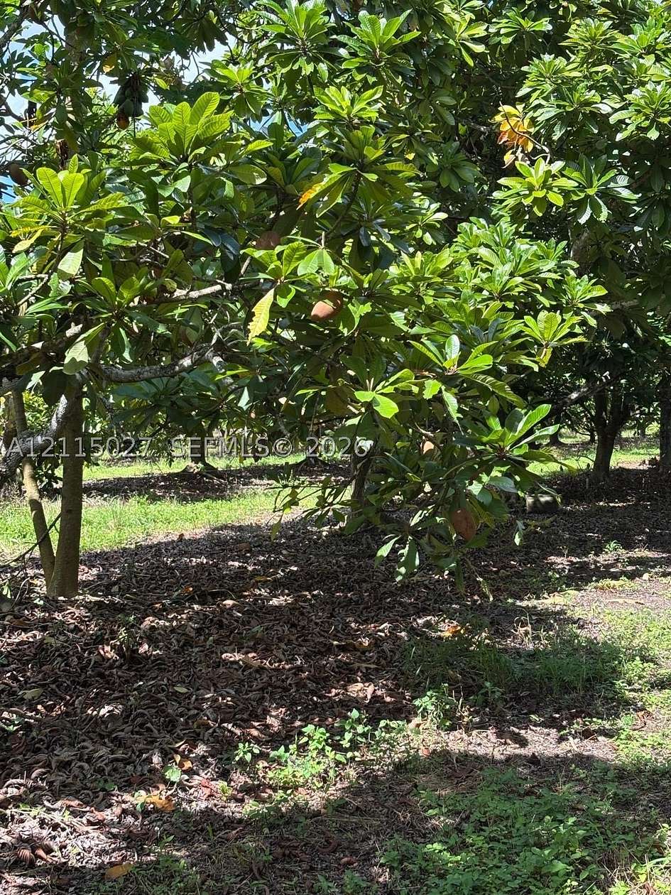 10 Acres of Land for Sale in Miami, Florida