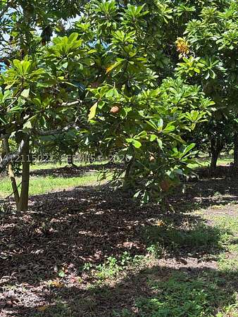10 Acres of Land for Sale in Miami, Florida
