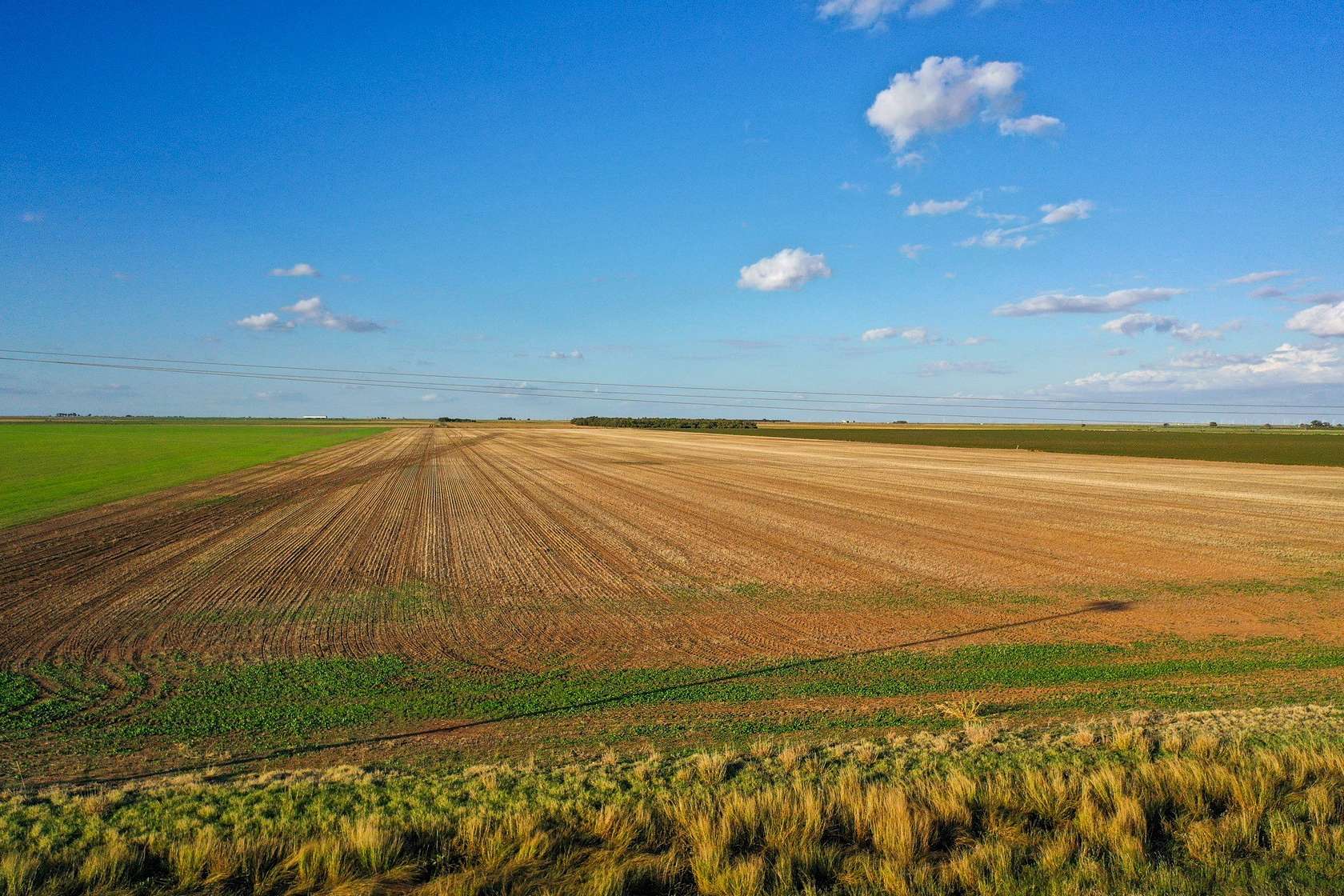 48.4 Acres of Agricultural Land for Sale in Haskell, Texas