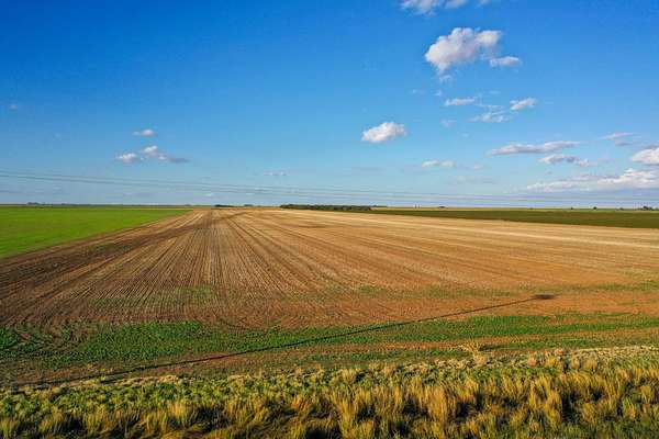48.4 Acres of Agricultural Land for Sale in Haskell, Texas