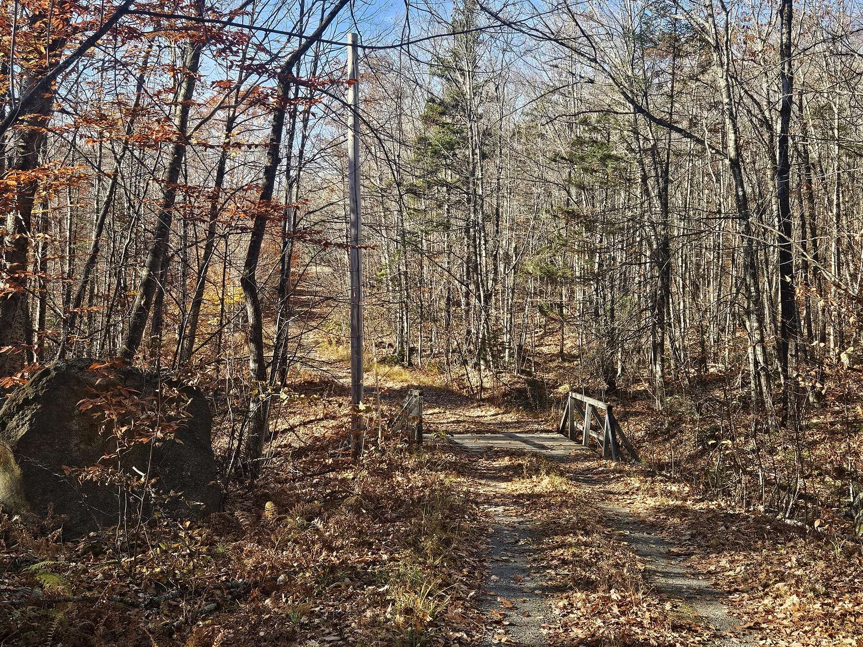 20 Acres of Recreational & Residential Land for Sale in New Vineyard, Maine