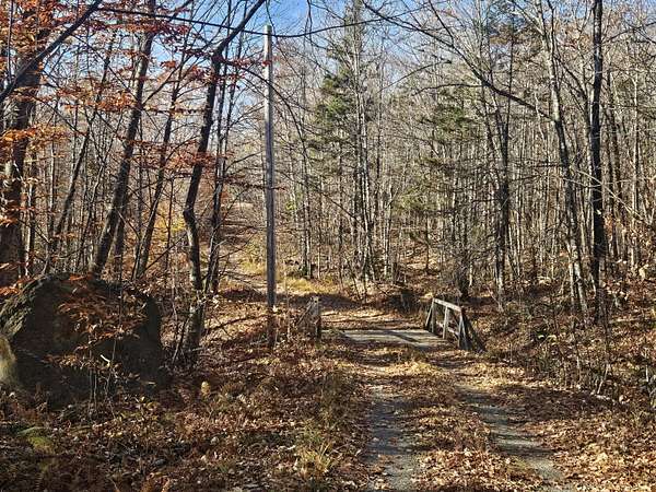 20 Acres of Recreational & Residential Land for Sale in New Vineyard, Maine