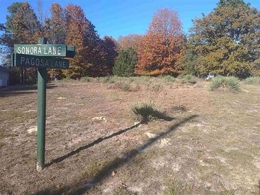 0.27 Acres of Residential Land for Sale in Holly Lake Ranch, Texas