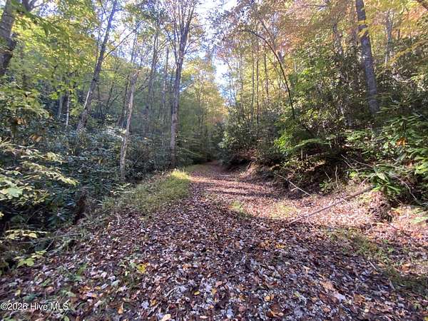 5 Acres of Land for Sale in Topton, North Carolina