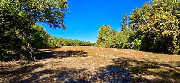 49 Acres of Recreational & Residential Land for Sale in Geneva, Alabama