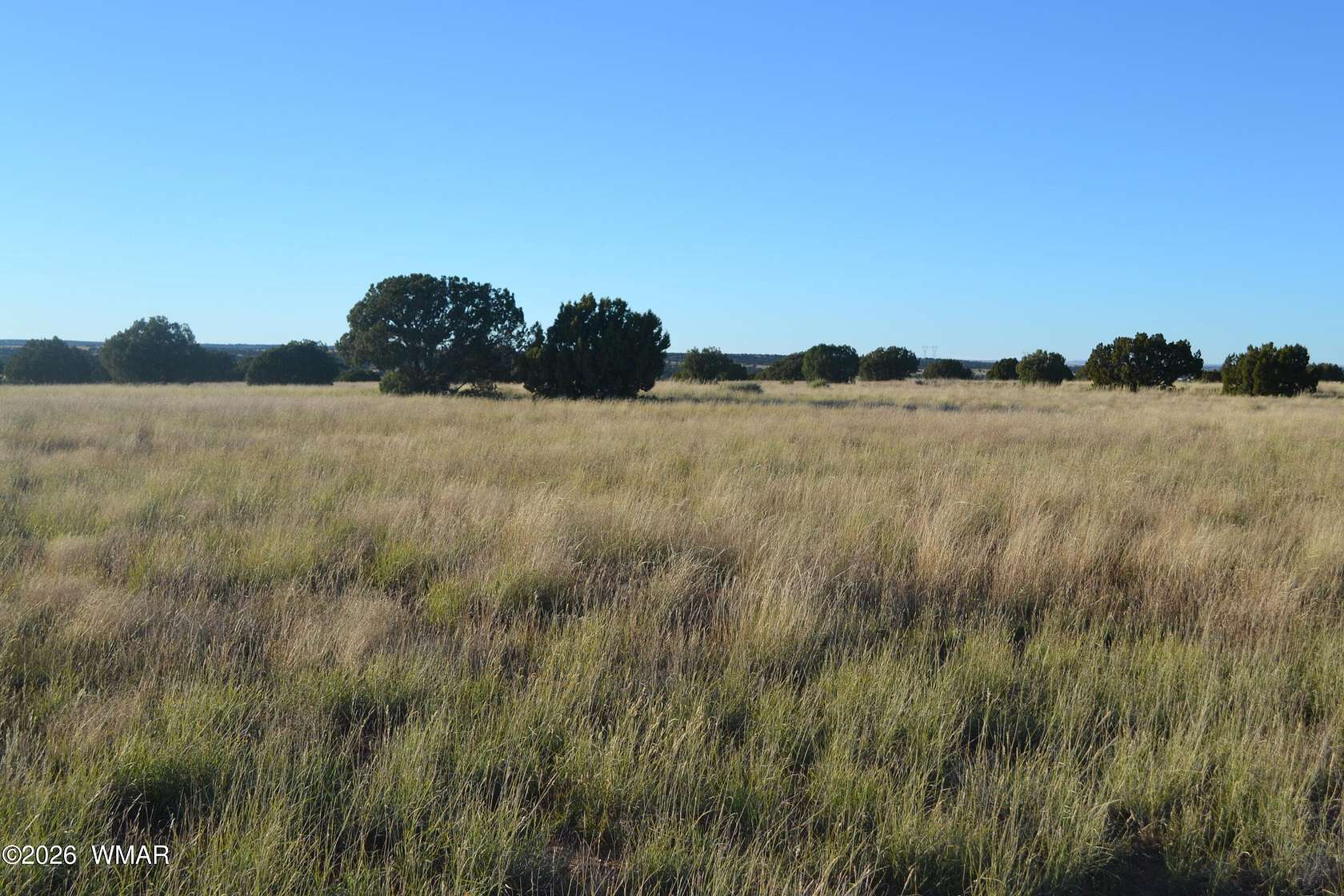 38.2 Acres of Land for Sale in Concho, Arizona