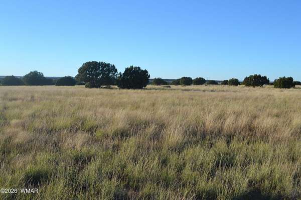 38.2 Acres of Land for Sale in Concho, Arizona