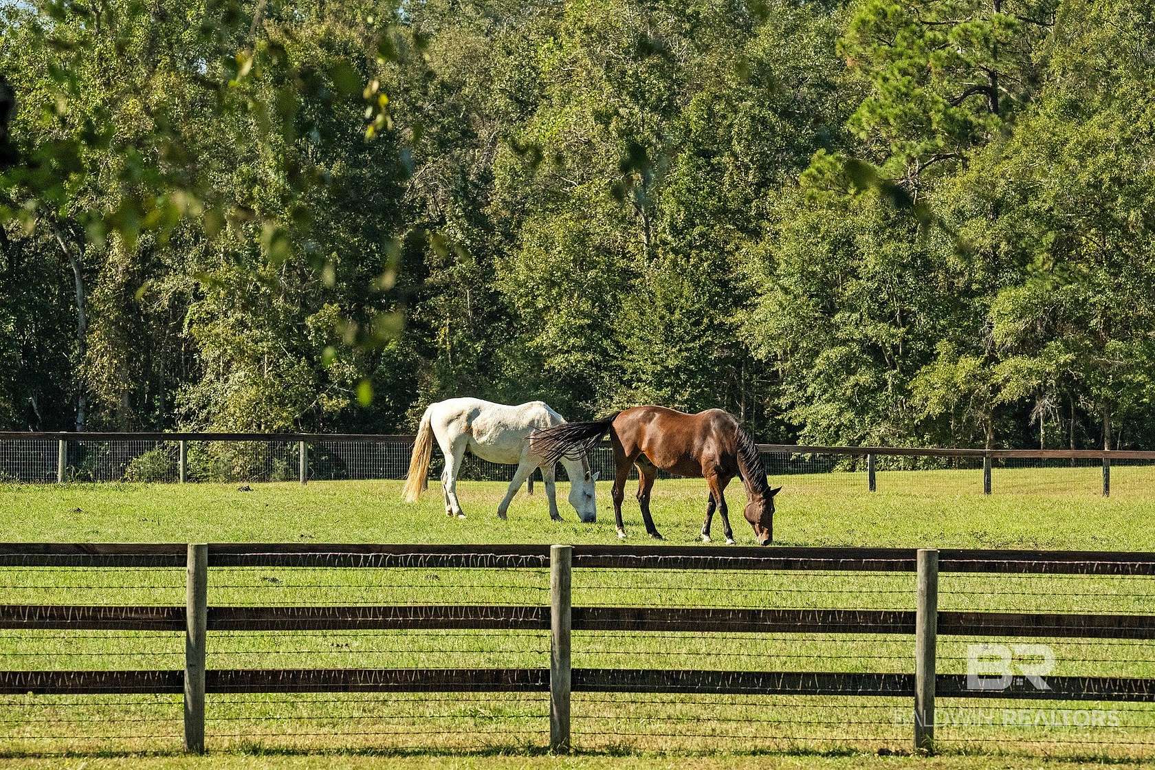 100 Acres of Land with Home for Sale in Andalusia, Alabama