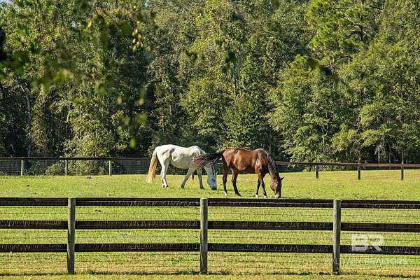 100 Acres of Land with Home for Sale in Andalusia, Alabama