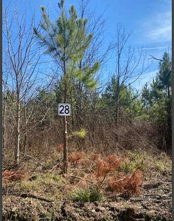 1.58 Acres of Land for Sale in Broken Bow, Oklahoma