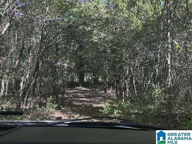 19 Acres of Recreational & Residential Land for Sale in Mulga, Alabama