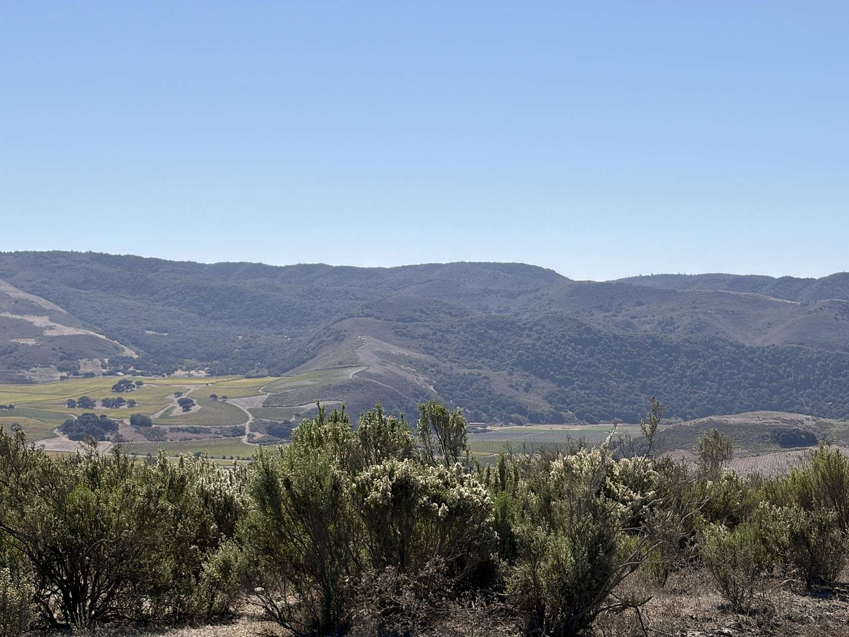 40.3 Acres of Agricultural Land for Sale in Lompoc, California