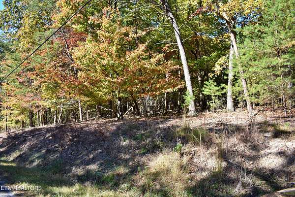 0.98 Acres of Residential Land for Sale in Spring City, Tennessee