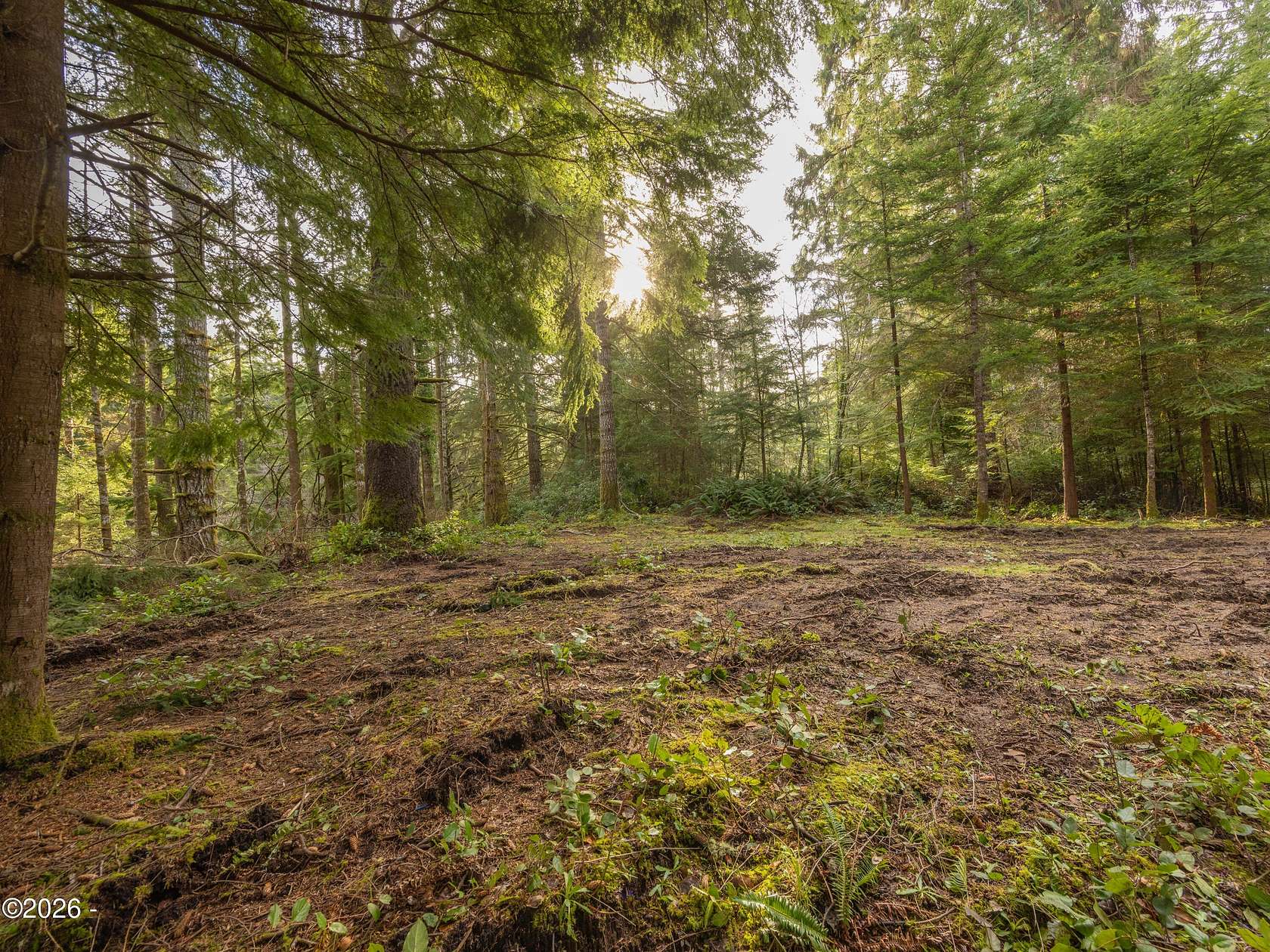 10.4 Acres of Land for Sale in South Beach, Oregon