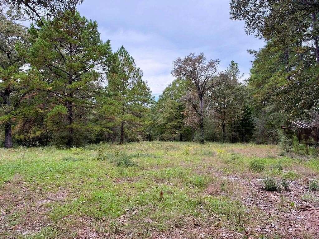 6.64 Acres of Residential Land for Sale in Colmesneil, Texas
