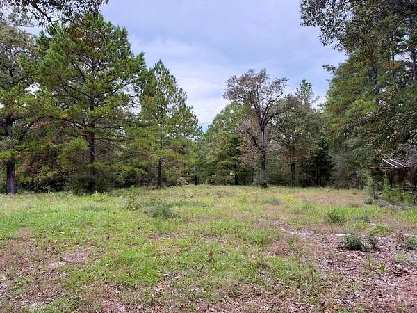 6.64 Acres of Residential Land for Sale in Colmesneil, Texas