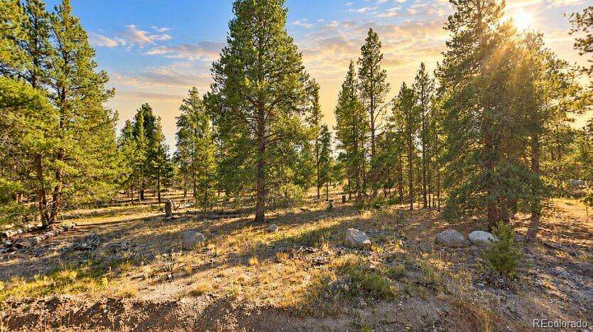 0.46 Acres of Residential Land for Sale in Twin Lakes, Colorado