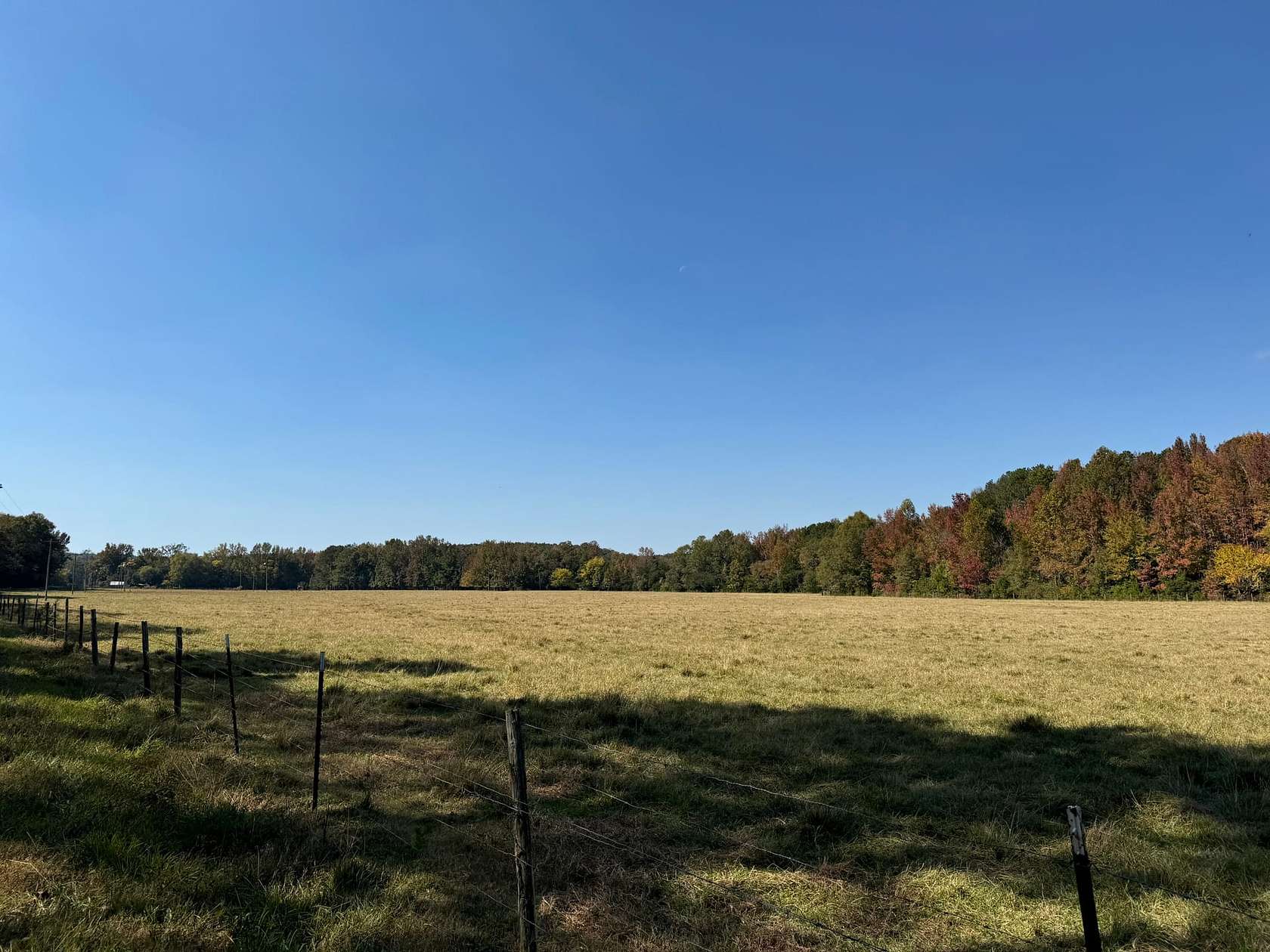 405 Acres of Land for Sale in Marion, Alabama