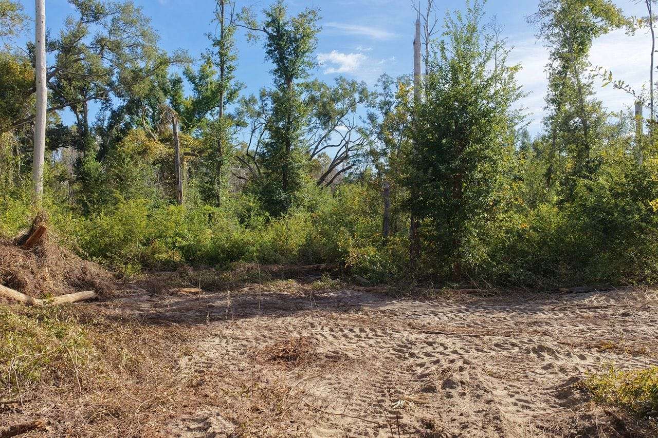 5 Acres of Recreational Land for Sale in Madison, Florida