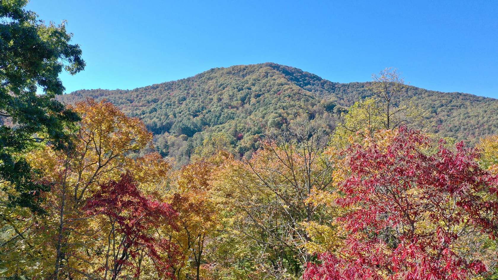 9.53 Acres of Residential Land for Sale in Franklin, North Carolina