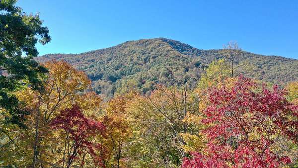9.53 Acres of Residential Land for Sale in Franklin, North Carolina