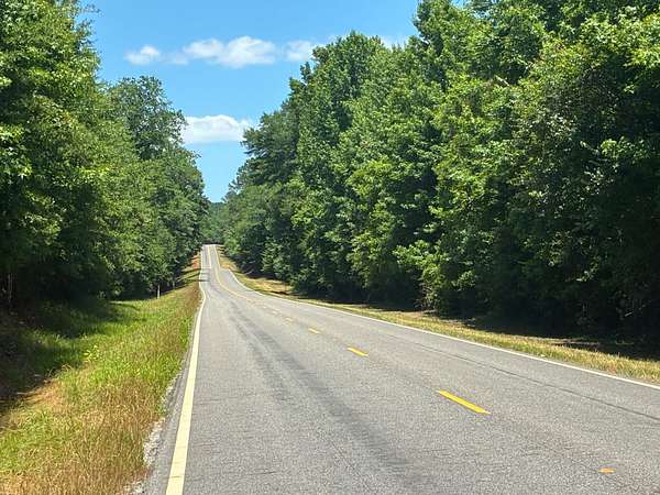 121 Acres of Recreational Land for Sale in Hogglesville, Alabama