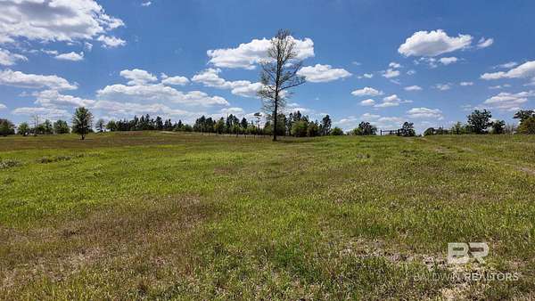 20 Acres of Land for Sale in Eight Mile, Alabama