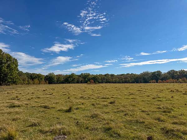 136 Acres of Land for Sale in Marion Junction, Alabama