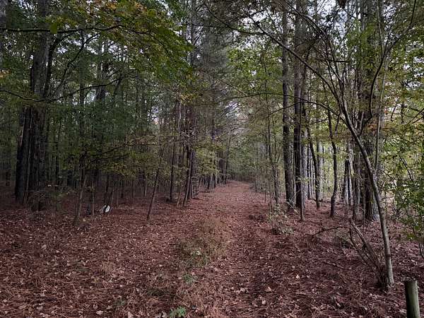 6.23 Acres of Residential Land for Sale in Altoona, Alabama