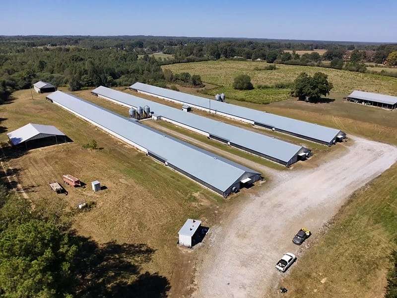 16 Acres of Land for Sale in Hackleburg, Alabama