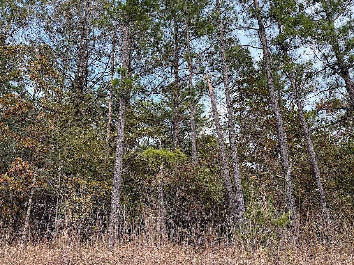 2 Acres of Residential Land for Sale in Kosciusko, Mississippi