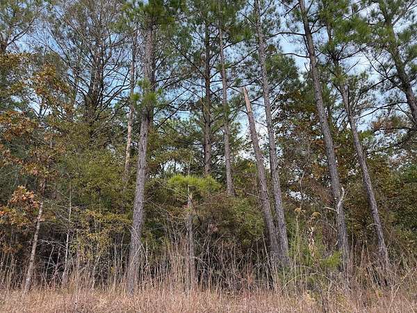 2 Acres of Residential Land for Sale in Kosciusko, Mississippi