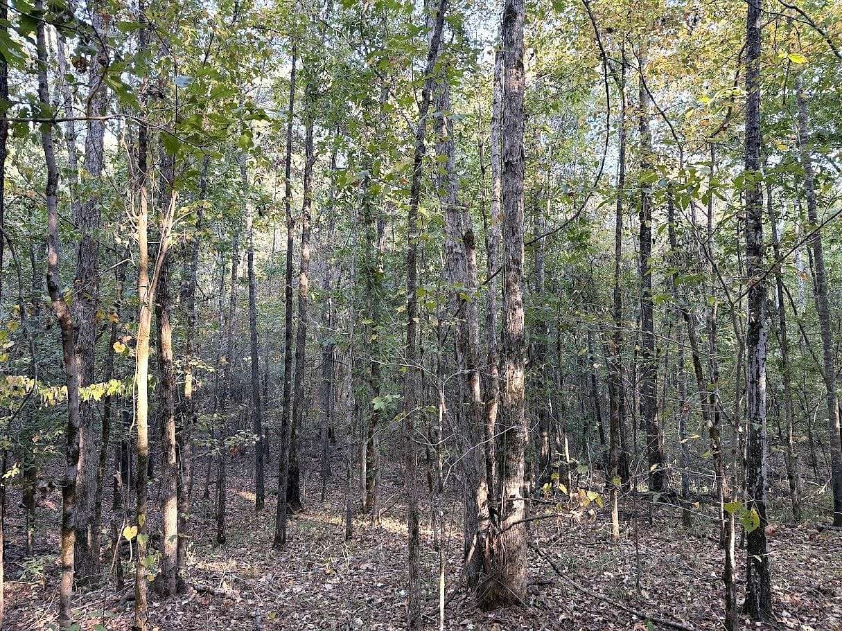 10 Acres of Recreational & Residential Land for Sale in Kosciusko, Mississippi