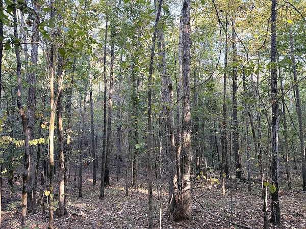 10 Acres of Recreational & Residential Land for Sale in Kosciusko, Mississippi