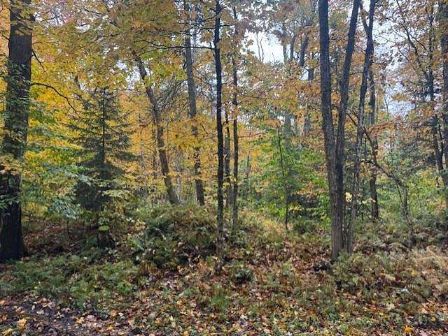 10 Acres of Recreational & Residential Land for Sale in Redfield, New York