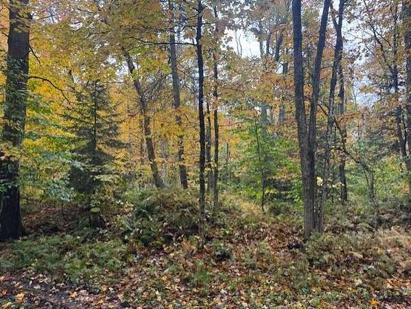 10 Acres of Recreational & Residential Land for Sale in Redfield, New York