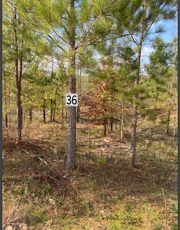 1.58 Acres of Land for Sale in Broken Bow, Oklahoma
