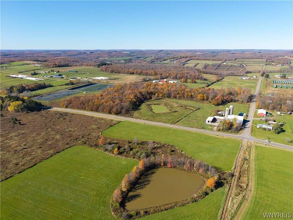 248 Acres of Improved Agricultural Land for Auction in Rexville, New York