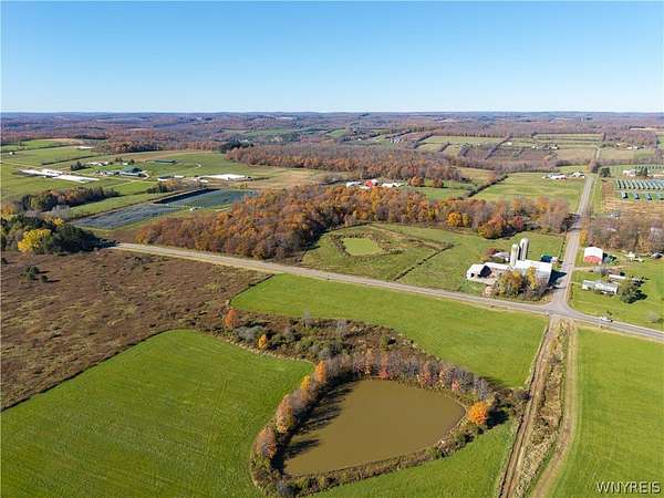 248 Acres of Improved Agricultural Land for Auction in Rexville, New York
