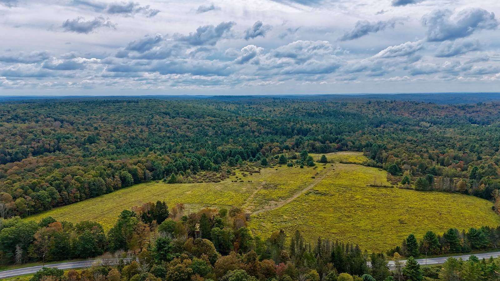 129 Acres of Land for Sale in Cochecton, New York